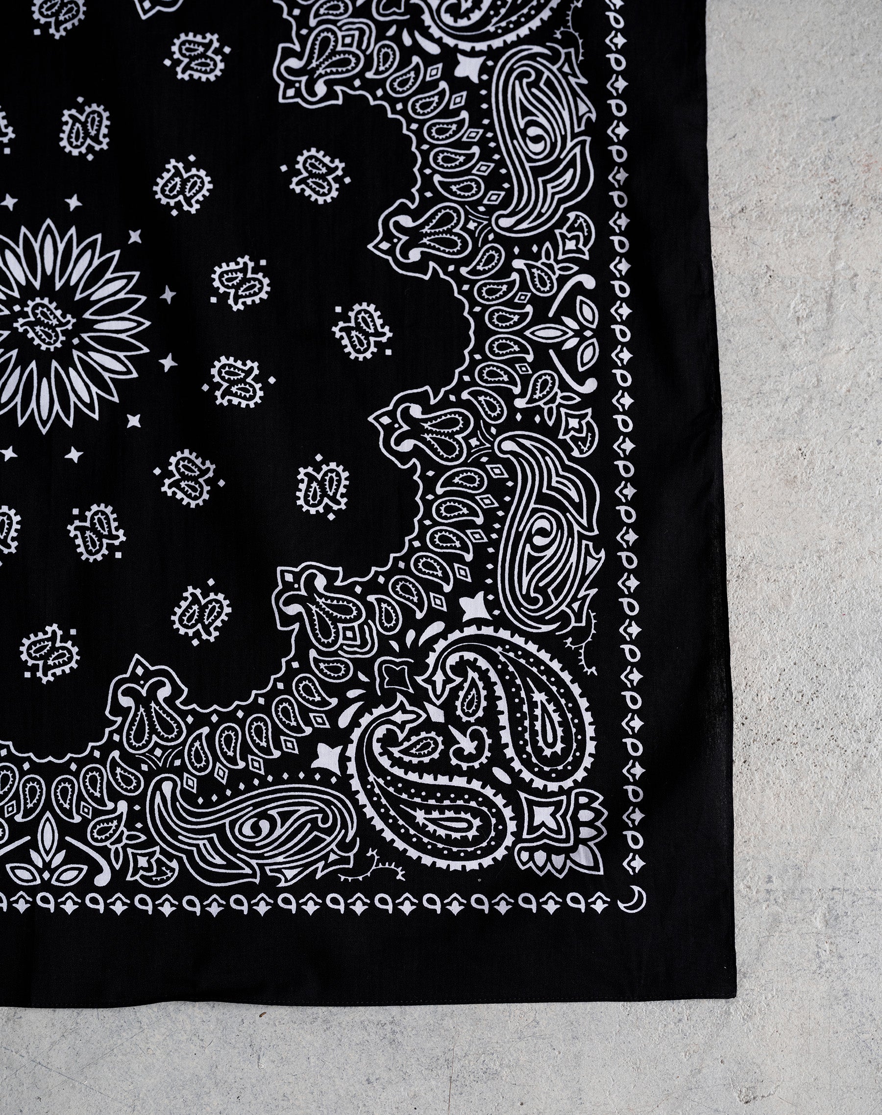 Large Paisley Scarf