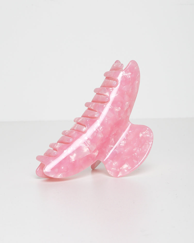 Claw Clip
