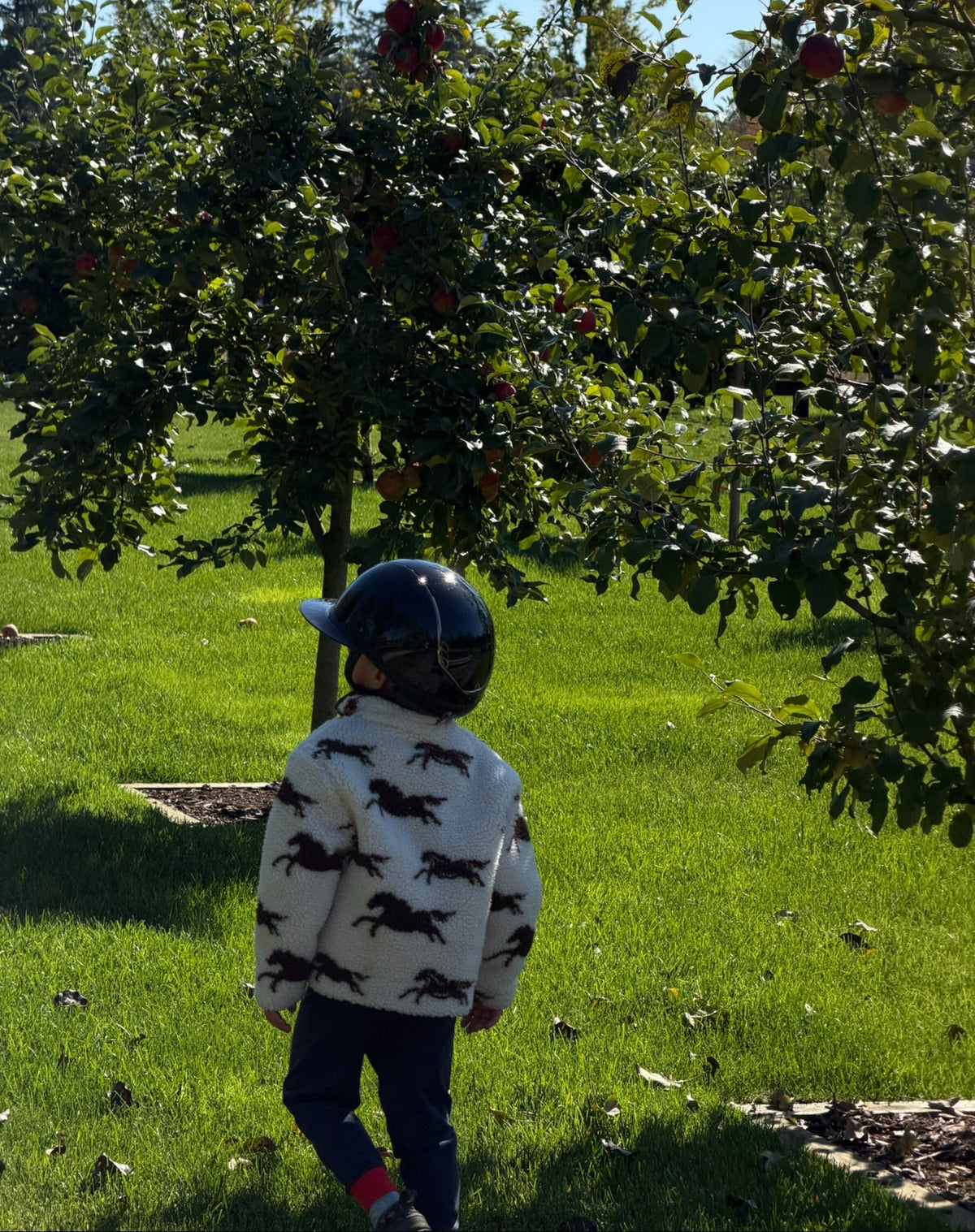 Kids Wild Horse Sherpa Jacket