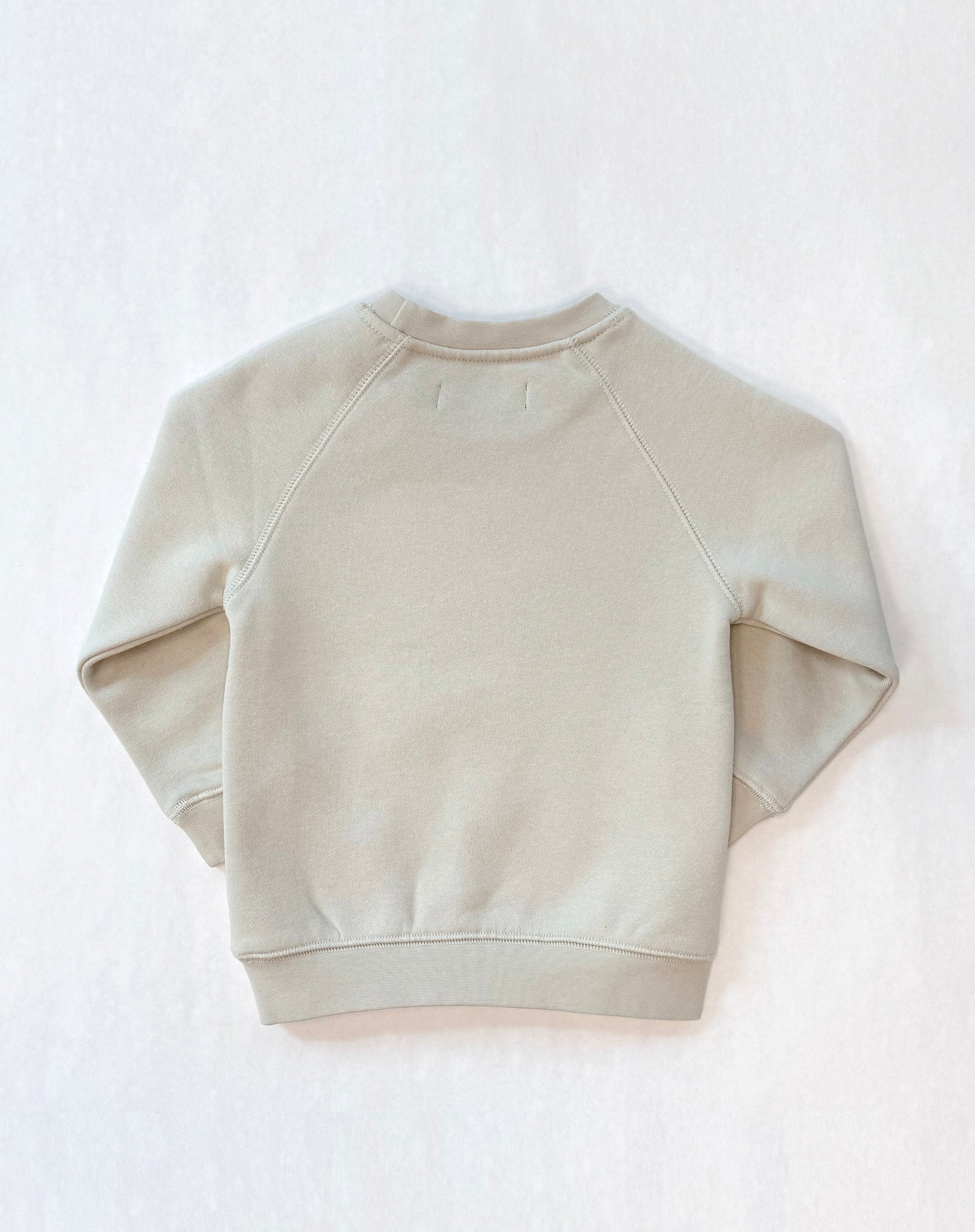 Kids Easter Bunny Raglan Crew